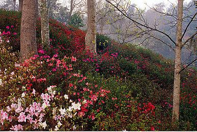 《彩虹六号：围攻》Y7S3“蜂暴行动”动画短片 9月6日上线